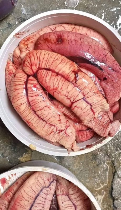 ইলিশের ডিম ৬ কেজি